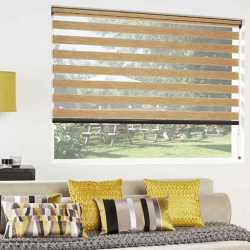 Vision / Day & Night Blinds