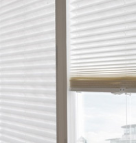 Pleated Blinds