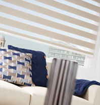 Vision / Day & Night Blinds