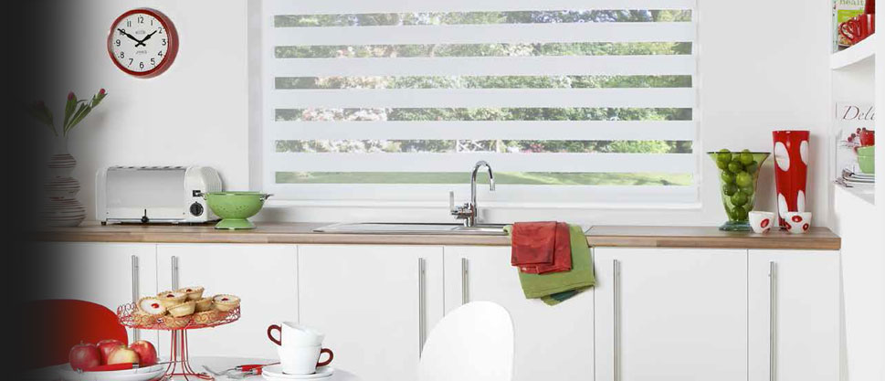 image of vision blinds