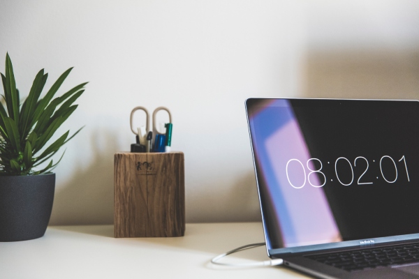 House plant, pen pot and laptop on desk in a home office