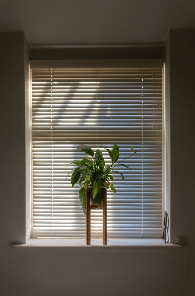 neutral colour blinds with plant in centre